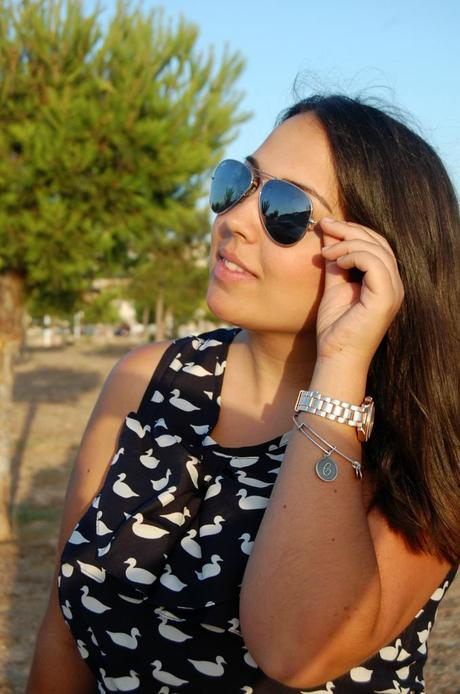 Raiban Aviador TuristasStyle ::Ducks::