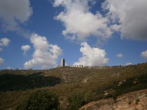Reintroducción de fauna extinta en Israel OLYMPUS DIGITAL CAMERA