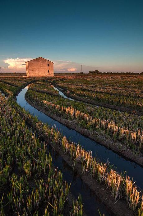 Albufera Valencia Albufera Valencia
