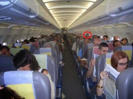 Comida de transición Comida de transición