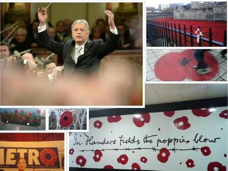 I Guerra Mundial: las amapolas del centenario I Guerra Mundial: las amapolas del centenario