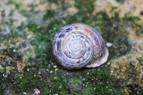 Tour fotográfico casero Tour fotográfico casero