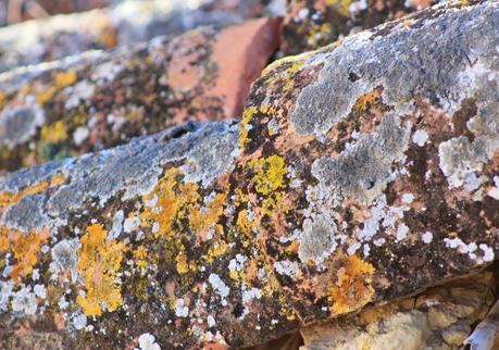 Tour fotográfico casero Tour fotográfico casero