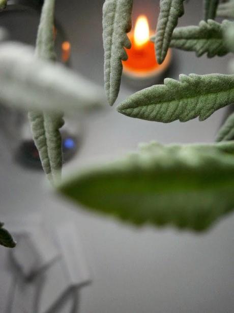 Propósitos Propósitos