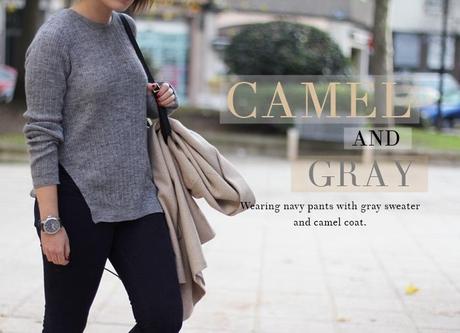 CAMEL AND GRAY, IT'S OKAY! IMG_6266