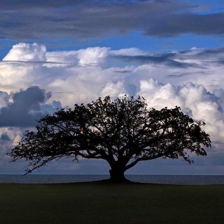 NO CAMBIÓ, PARA NADA, SU SONRISA... NO CAMBIÓ, PARA NADA, SU SONRISA...