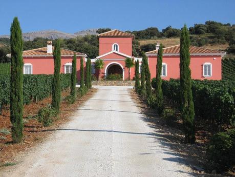 Vinos de Ronda: desde el siglo I a.C. hasta hoy. Bodega Conrad