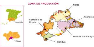 Vinos de Ronda: desde el siglo I a.C. hasta hoy. Mapa de Situación de la Serranía de Ronda