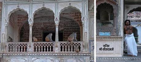 Galta, zona de templos en las afueras de Jaipur Galta, zona de templos en las afueras de Jaipur