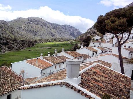 Vl CONCURSO ANDALUZ DE QUESOS SIERRA DE CÁDIZ Vl CONCURSO ANDALUZ DE QUESOS SIERRA DE CÁDIZ