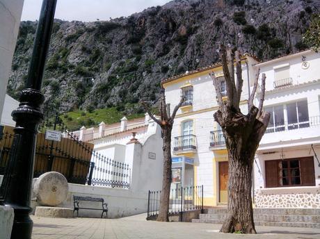 Vl CONCURSO ANDALUZ DE QUESOS SIERRA DE CÁDIZ Vl CONCURSO ANDALUZ DE QUESOS SIERRA DE CÁDIZ