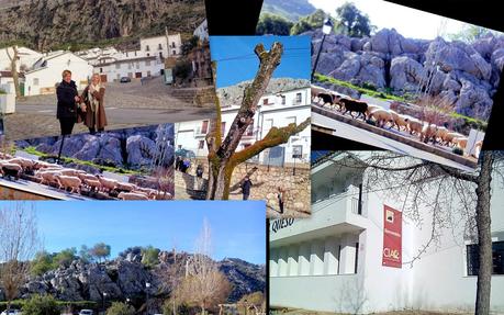 Vl CONCURSO ANDALUZ DE QUESOS SIERRA DE CÁDIZ Vl CONCURSO ANDALUZ DE QUESOS SIERRA DE CÁDIZ