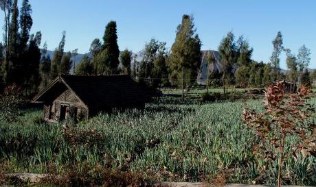 ¿Cómo te sientes al volver de un viaje? pueblo-indonesia