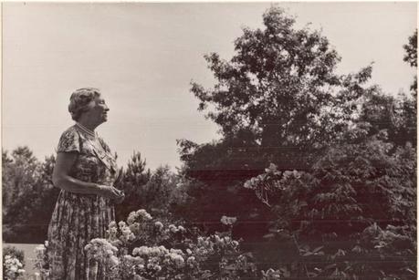 Jardinería y discapacidad: las rosas no conocen límites. Recordando a Helen Keller.