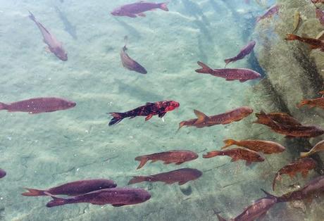 IT'S SUCH A WONDERFUL DAY IT'S SUCH A WONDERFUL DAY