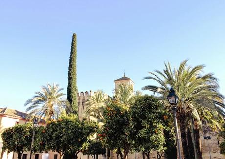 IT'S SUCH A WONDERFUL DAY IT'S SUCH A WONDERFUL DAY