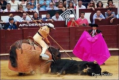 LOS TORITOS BUENOS LOS TORITOS BUENOS