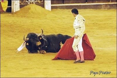 LOS TORITOS BUENOS LOS TORITOS BUENOS