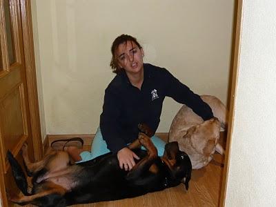 De asistentas, yayas y conductores. De asistentas, yayas y conductores.