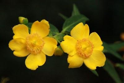 Un Lugar en el Mundo: San Martin de los Andes, Argentina. Parte 2 Un Lugar en el Mundo: San Martin de los Andes, Argentina. Parte 2