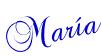 Marrajo aliñado Marrajo aliñado