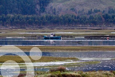 Oyambre, joya de la costa cántabra parque natural de oyambre 4