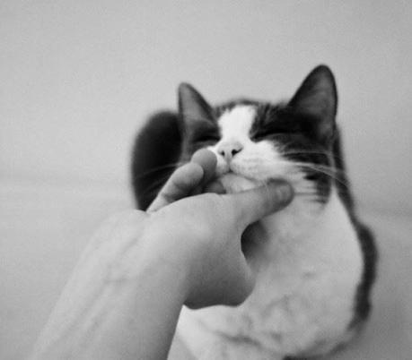 El año de los no propósitos El año de los no propósitos