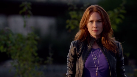 THE FLASH -TEMPORADA 1- PLASTIQUE THE FLASH -TEMPORADA 1- PLASTIQUE