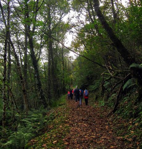 Ruta del Agua (Taramanudi)