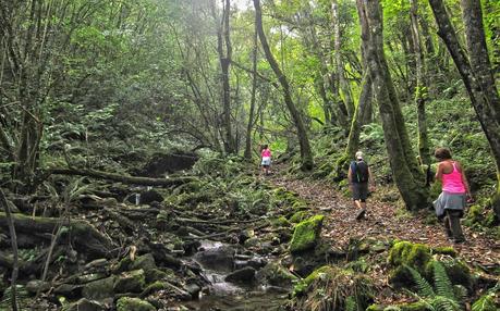 Ruta del Agua (Taramanudi)