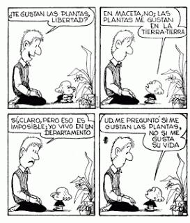 ¿Has probado la Miel del Alacrán?... ¿Has probado la Miel del Alacrán?...