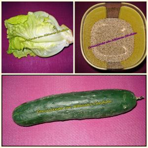 Ensalada de lechuga y pepino con sésamo (ajonjolí) mosaico ensalada pepino