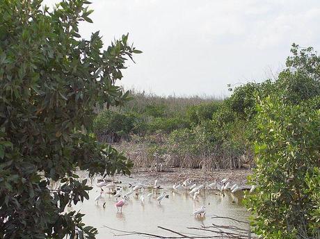 México, un mundo de posibilidades para el viajero México, un mundo de posibilidades para el viajero