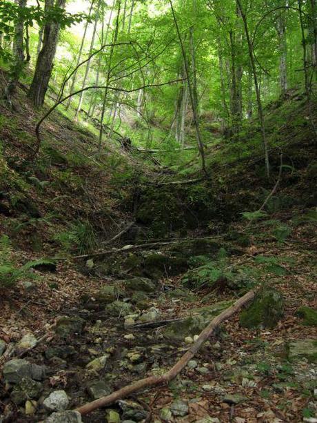 Grecia en 20 días: Día 16 – De Kalambaka a Litohoro y excursión desastrosa al Monte Olimpo. grecia-dia16-0