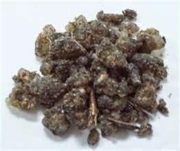 Fragancia: Pure de Custo Barcelona Fragancia: Pure de Custo Barcelona