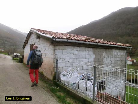 Por los mayaos de Felechosa