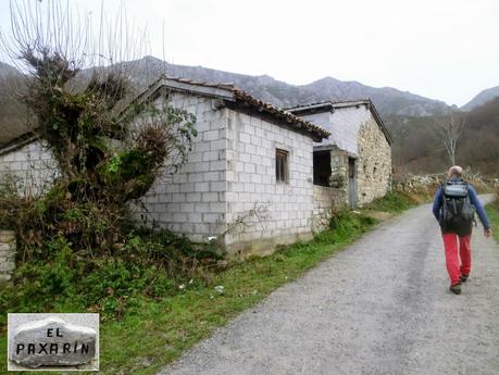 Por los mayaos de Felechosa