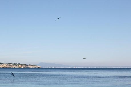 Enero en la playa invierno en mallorca 9