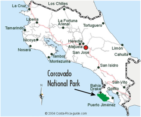 Descubriendo P. N. de Corcovado, Costa Rica Descubriendo P. N. de Corcovado, Costa Rica