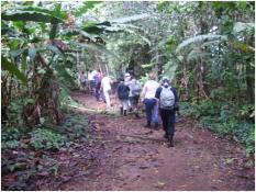 Descubriendo P. N. de Corcovado, Costa Rica Descubriendo P. N. de Corcovado, Costa Rica