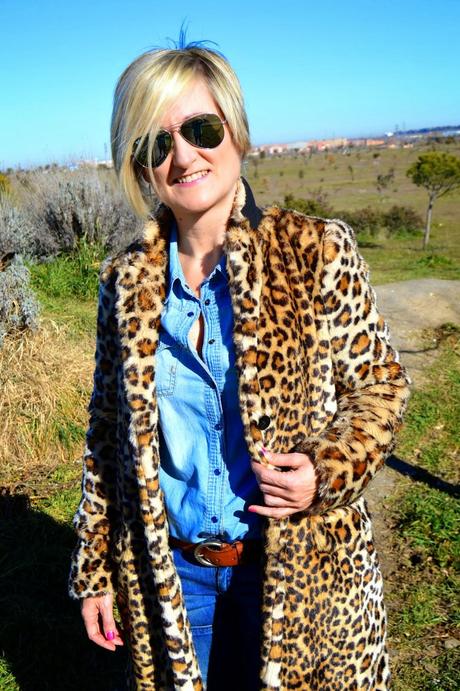 Denim and leo. Denim and leo.