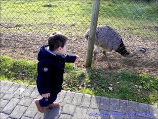 DIA EN EL KARPIN DIA EN EL KARPIN