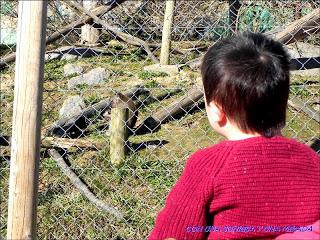 DIA EN EL KARPIN DIA EN EL KARPIN