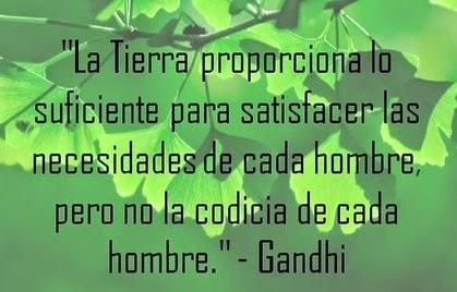 La ecofatiga ¿demasiada responsabilidad en el ciudadano?