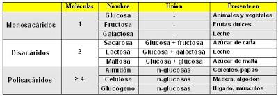 hidrato de carbono glucidos glucosa sacarosa maltosa fructosa clasificacion