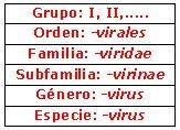 CLASIFICACION DE LOS SERES VIVOS CLASIFICACION DE LOS SERES VIVOS