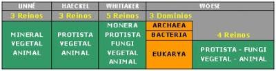 CLASIFICACION DE LOS SERES VIVOS reino dominio bacterias hongos plantas animales cianobacterias arqueobacterias genero especie clase