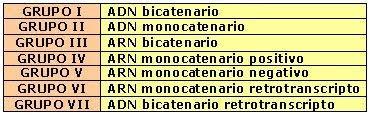 CLASIFICACION DE LOS SERES VIVOS virus ADN ARN