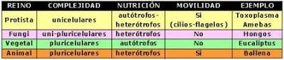 CLASIFICACION DE LOS SERES VIVOS reino dominio bacterias hongos plantas animales cianobacterias arqueobacterias genero especie clase