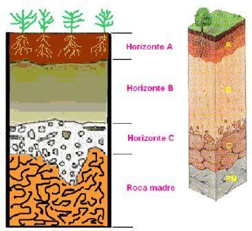  abiótico biótico suelo aire agua atmósfera clima ecología ecosistema hidrósfera atmósfera fótico biología bioma 